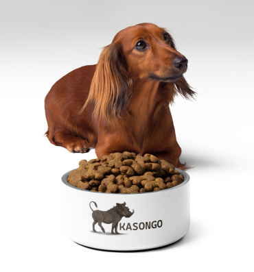 kasongo pet bowl