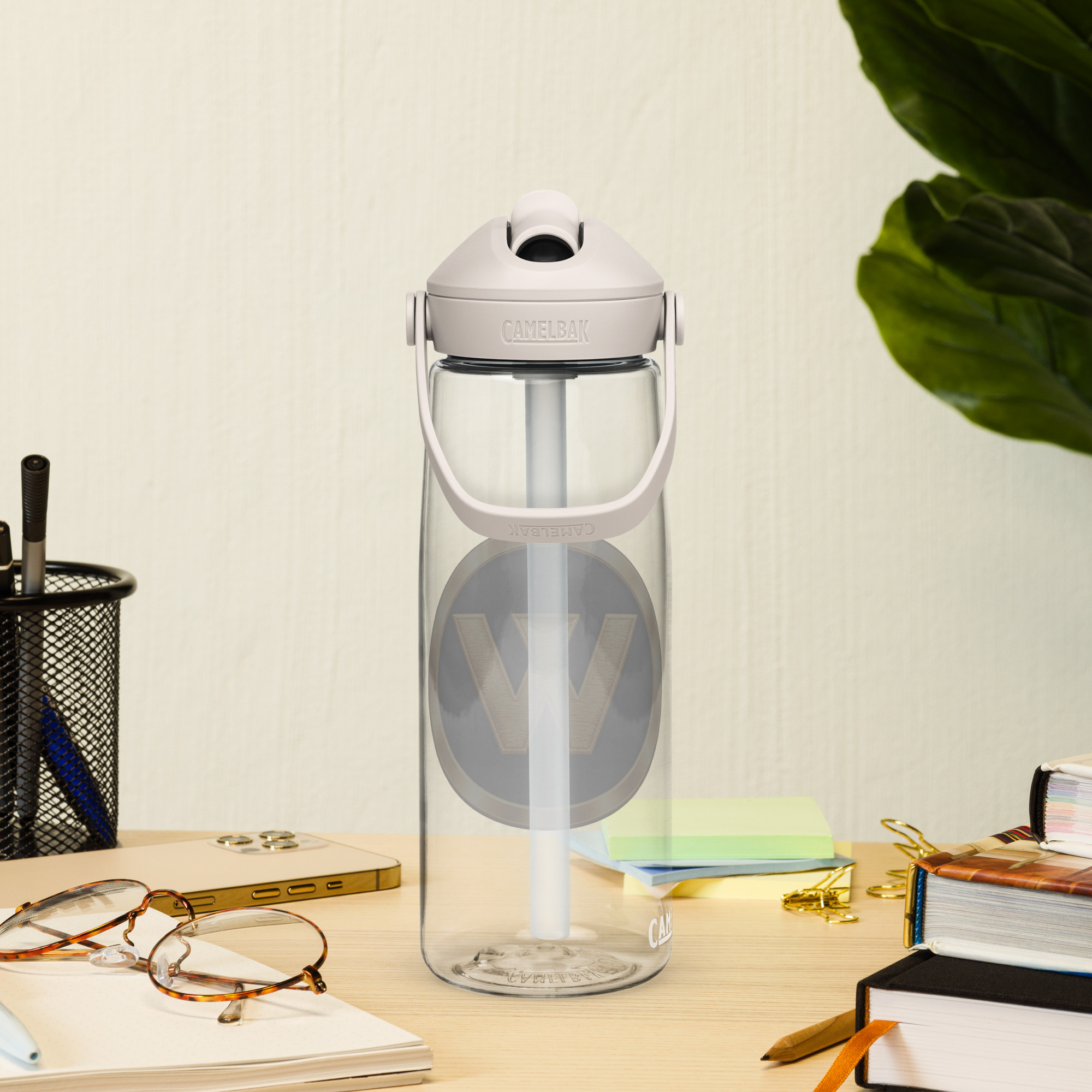 webster flip straw water bottle